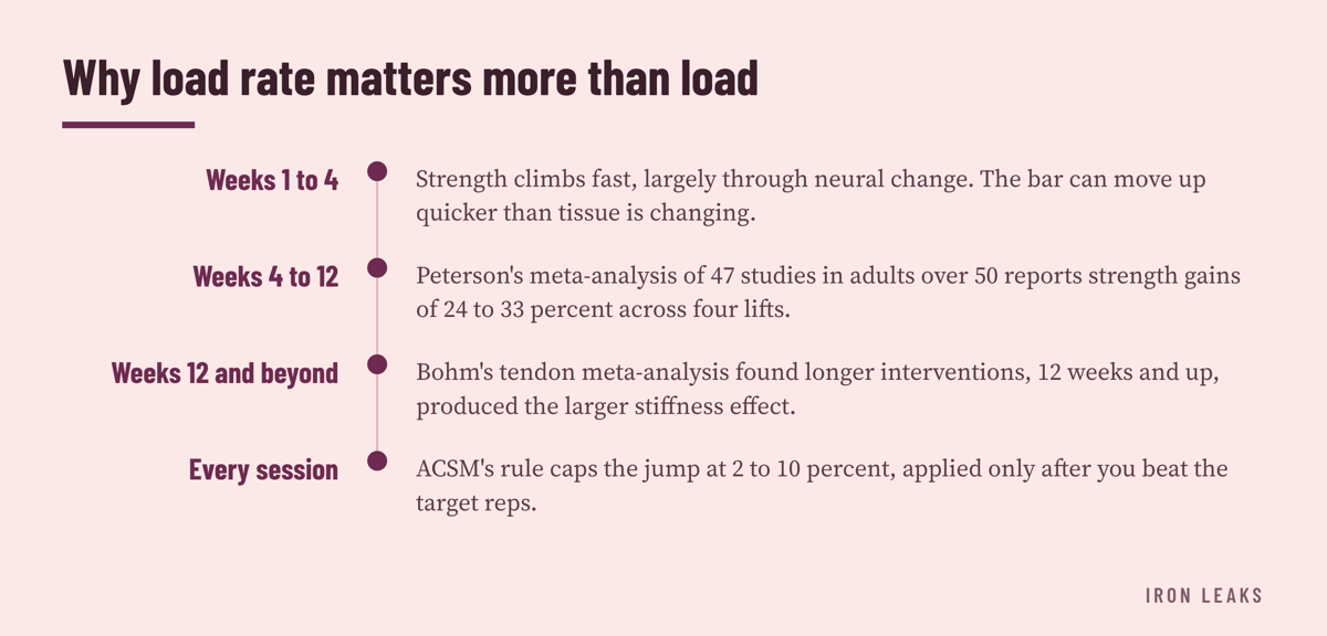 Four stacked periods showing early neural strength gains, then measurable muscle change, then slower tendon stiffness change over twelve weeks, with the load-increase cap applied throughout.